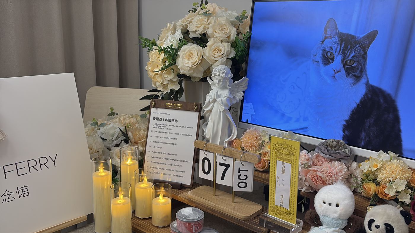 淄博宠物告别厅布置：如何给陶瓷之都家属一个体面的告别